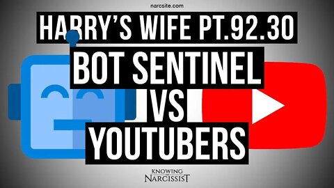 Harry’s Wife 92.30 Bot Sentinel v YouTubers