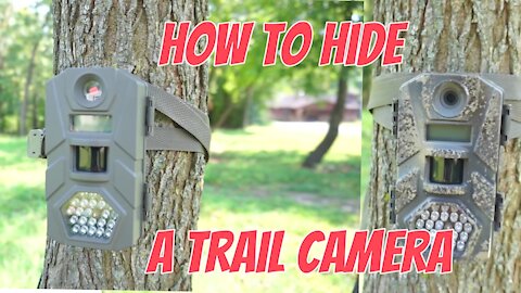How to hide a trail camera on public land