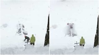 Snowboarder cade su un pino!