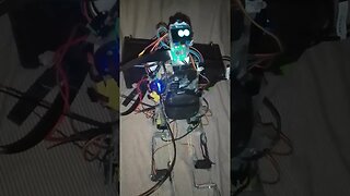 It happened: a guy on Reddit showed off his ChatGPT-based robot.