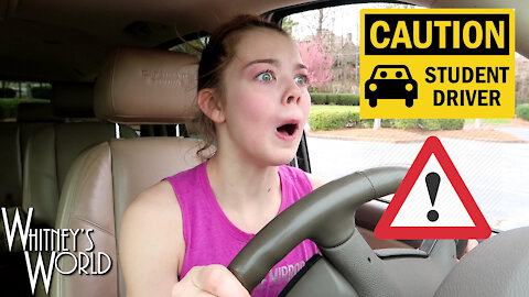 Whitney Drives a Car! | Weekly VLOG