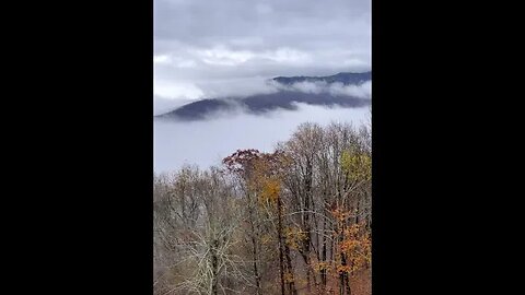 Beautiful Blue Ridge Mountains #Shorts