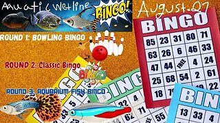 Aquatic Wetline BINGO: August 27th, 2023