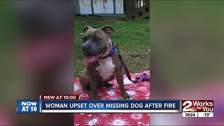 Tulsa family looking for dog housed by Red Cross volunteer