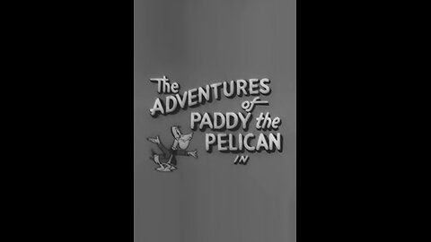 📽️ Paddy the Pelican Swania Foiled Again 1950