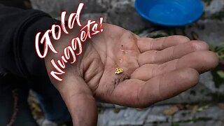What Its Really Like to Find Gold Metal Detecting