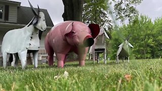 DeWitt family reunited with lost pig lawn ornament one week later