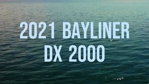 2021 Bayliner DX 2000 Walkthrough Review