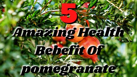 5 Benefits of pomegranate - Health benefit of pomegranate