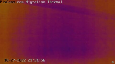 Fall Migration 2022 Thermal Camera - 10/27/2022 Ducks Migrating at Night