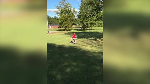 Bicycle Fail: Little Girl Bikes Into A Bush