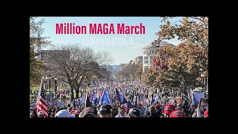MILLION MAGA MARCH, Washington, D.C. 11/20