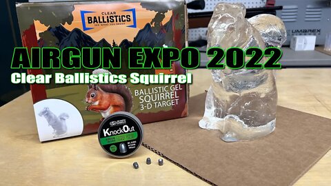 AE22 - Clear Ballistics Squirrel VS. Umarex Origin .25, ATN LTV, JSB .25 Cal Knockout MKII Slugs