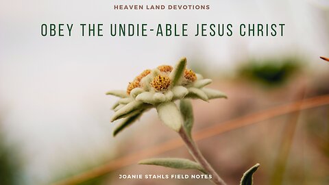 Heaven Land Devotions - Obey The Undie-able Jesus Christ