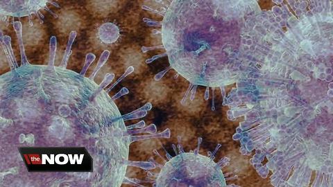 Illness outbreak at Hudson Elementary could be norovirus