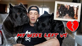 My Wife Left Us - My Dog's Are HEARTBROKEN