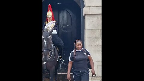 Did not get the pic with the guard he wanted 😆 🤣 😂 #horseguardsparade