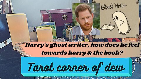 what can we learn about Harry's ghost writer?