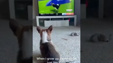 Treinando para ser um campeão