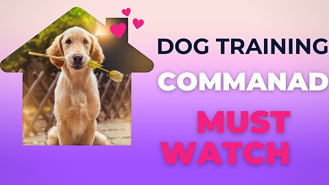 The Biggest Overlooked dog training Command