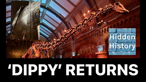 The history and wonder of ‘Dippy’ the diplodocus at the Natural History Museum in London