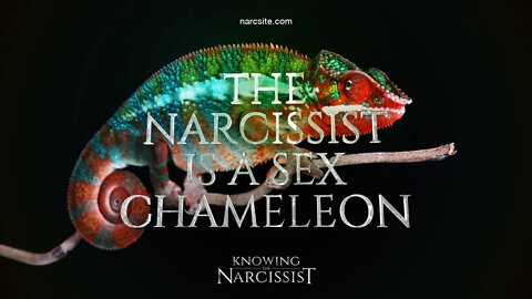 The Narcissist Is A Sex Chameleon