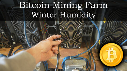 Bitcoin Mining Farm - Winter Humidity
