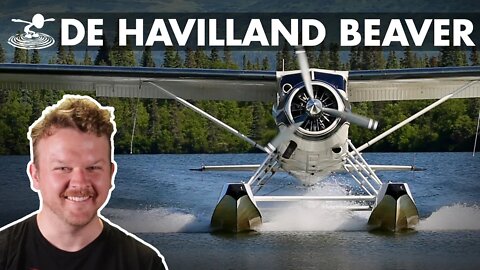 How a Beaver is so Powerful 🦔 De Havilland DHC-2 Beaver Bush Plane