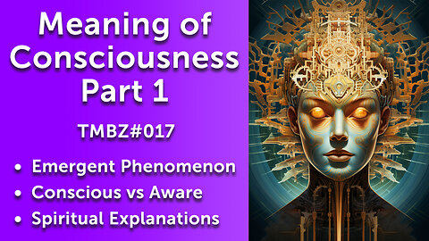 The Meaning of Consciousness - Part 1 (TMBZ017)