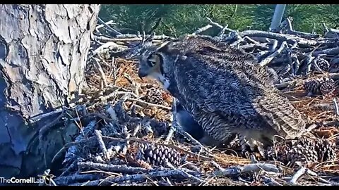 Leftover Rat, It's What's For Dinner 🦉 3/7/22 16:38