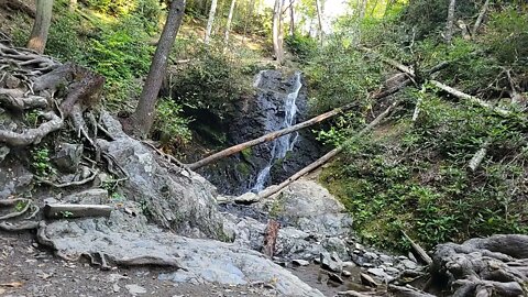 Smoky Mountain Healing - Nature Vibe