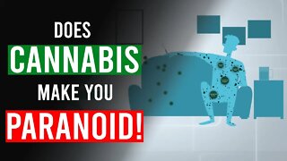 Does CANNABIS make you PARANOID?