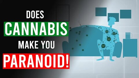 Does CANNABIS make you PARANOID?