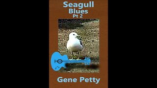 Seagull Blues Pt 2 By Gene Petty #Shorts