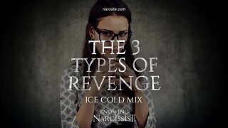 The 3 Types of Revenge (Ice Cold Mix)