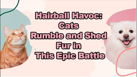 Hairball Havoc- Cats Rumble and Shed Fur in This Epic Battle