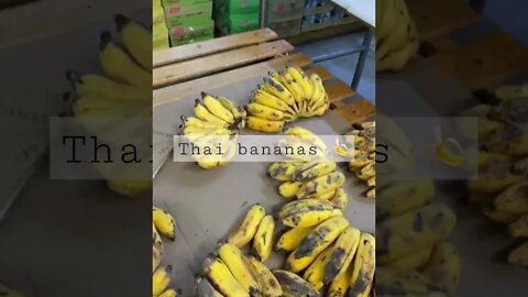 Found Thai BANANAS and other great #fruit