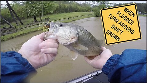 Flippin' Jigs During a Flood?