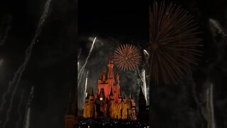 Disney's 4th of July!