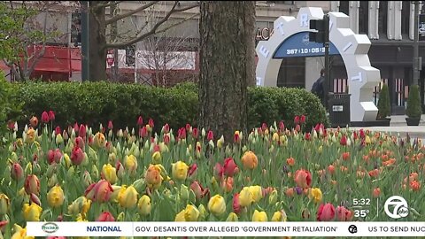 =Beautification projects underway ahead of 2024 NFL Draft in Detroit