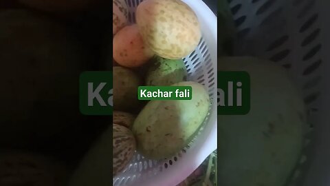 #kachar #fali #gawar #rajasthan #food #vegitables #trending #shorts #viral #youtube #jayveeru