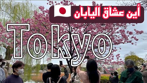 Japan | See the most beautiful places in Japan | Tokyo |日本