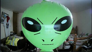 Mexico Aliens Livestream