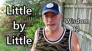 Little By Little: Wisdom 12