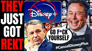 Woke Disney Faces MASSIVE Backlash As THOUSANDS Cancel Disney Plus After Elon Musk DESTROYS Bob Iger