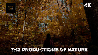 The Productions of Nature - 4k Cinematic visual for meditation