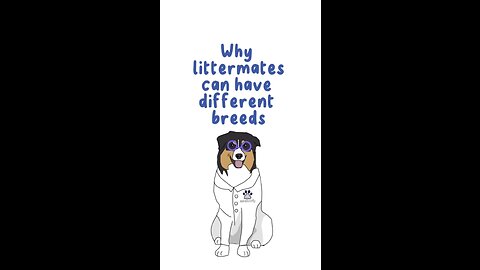 Why your dog is a different breed than his littermates