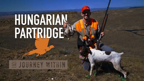 Hungarian Partridge, Wyoming - Day 3: The Journey Within - A Bird Hunter's Diary | Mark V Peterson