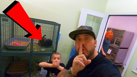 WE SECRETLY FILMED A DOG SHELTER & FOUND THIS | TheOmarGosh