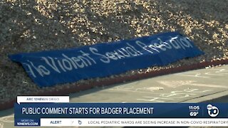 Public Comment for Badger placement